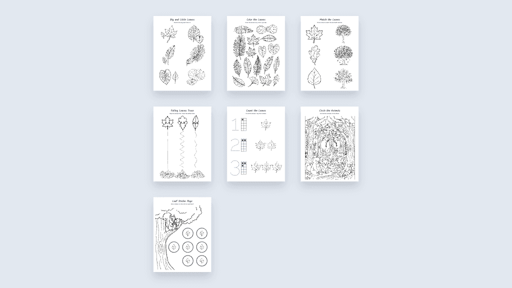 Fall Colors & Leaves